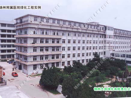 錦州附屬醫院綠化工程