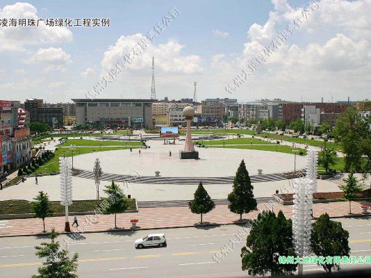 凌海明珠廣場綠化工程